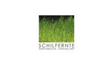 Schilfernte