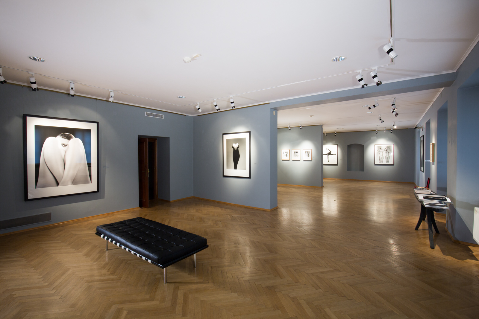 Tono Stano Cermak Eisenkraft