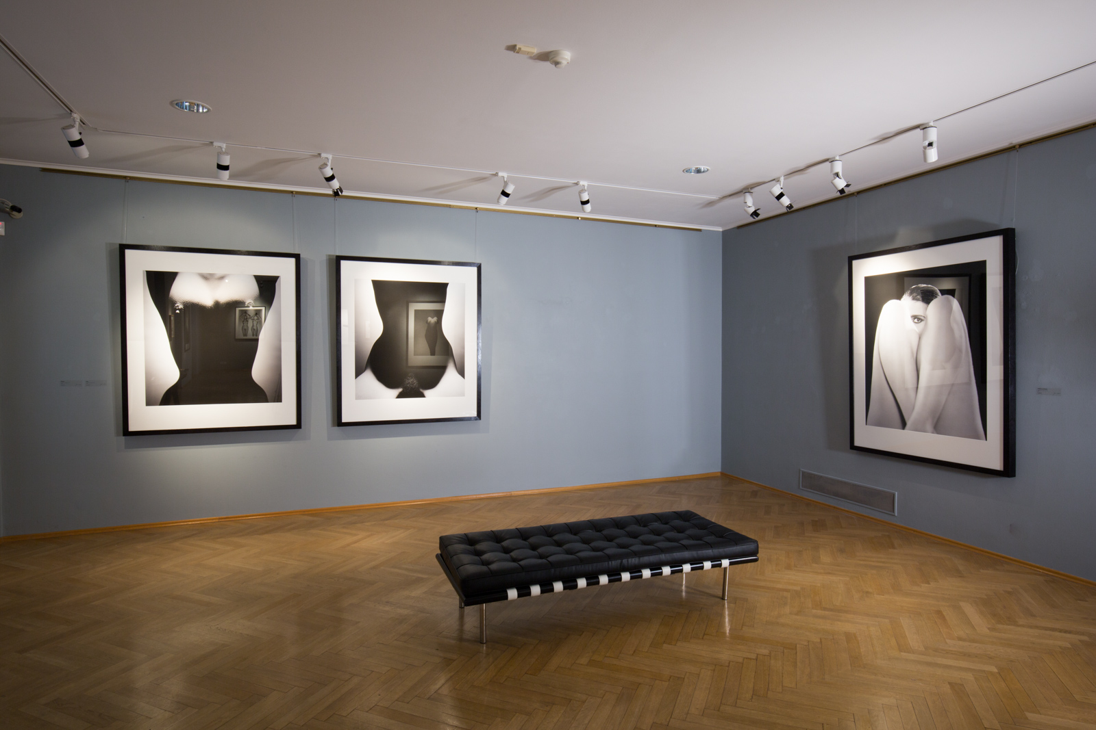 Tono Stano Cermak Eisenkraft