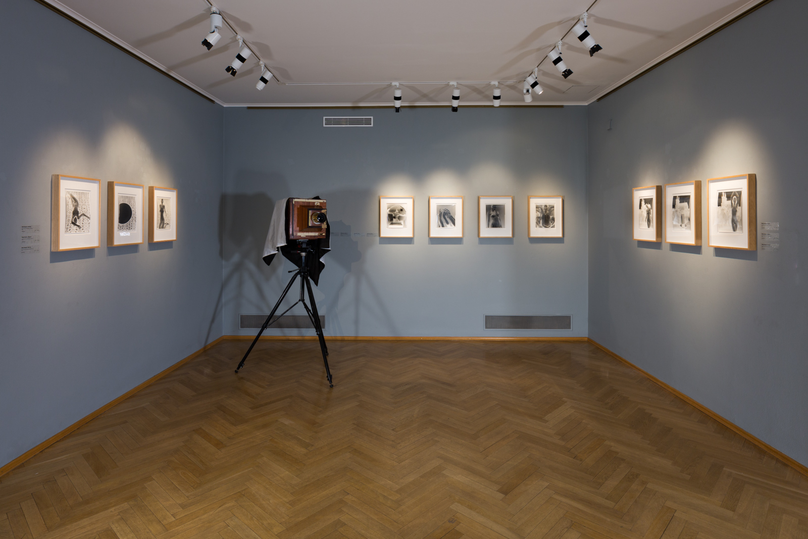 Tono Stano Cermak Eisenkraft