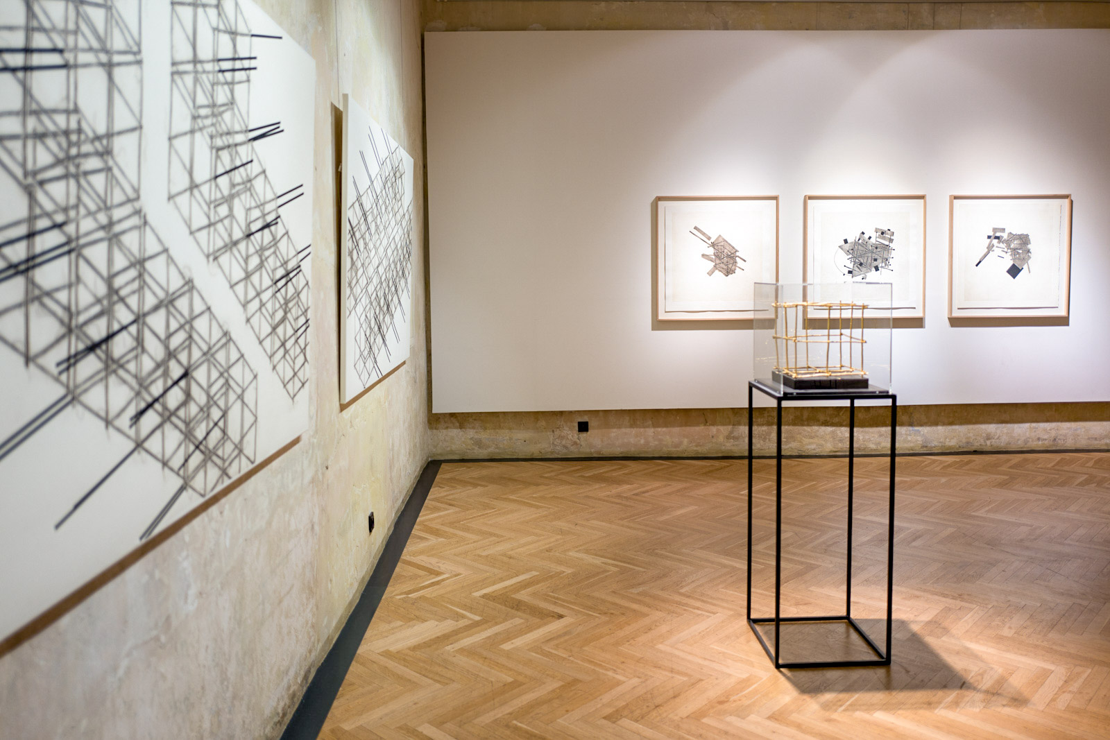 Simon Brejcha - foto Tomas Zapletal