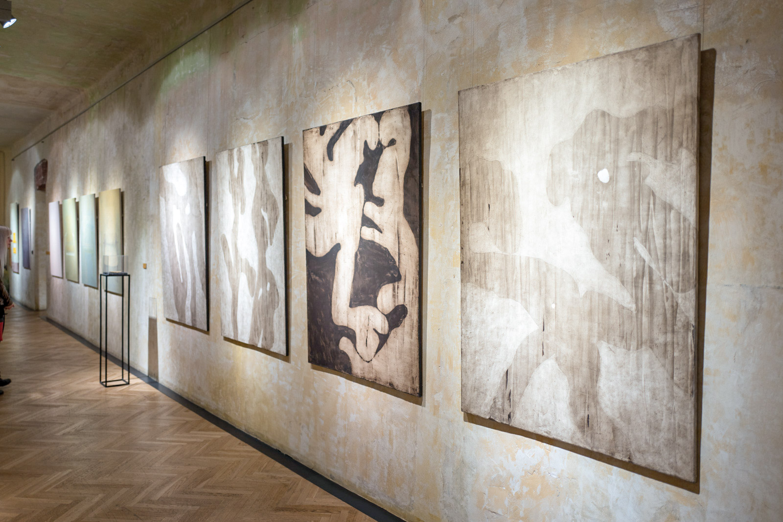 Simon Brejcha - foto Tomas Zapletal