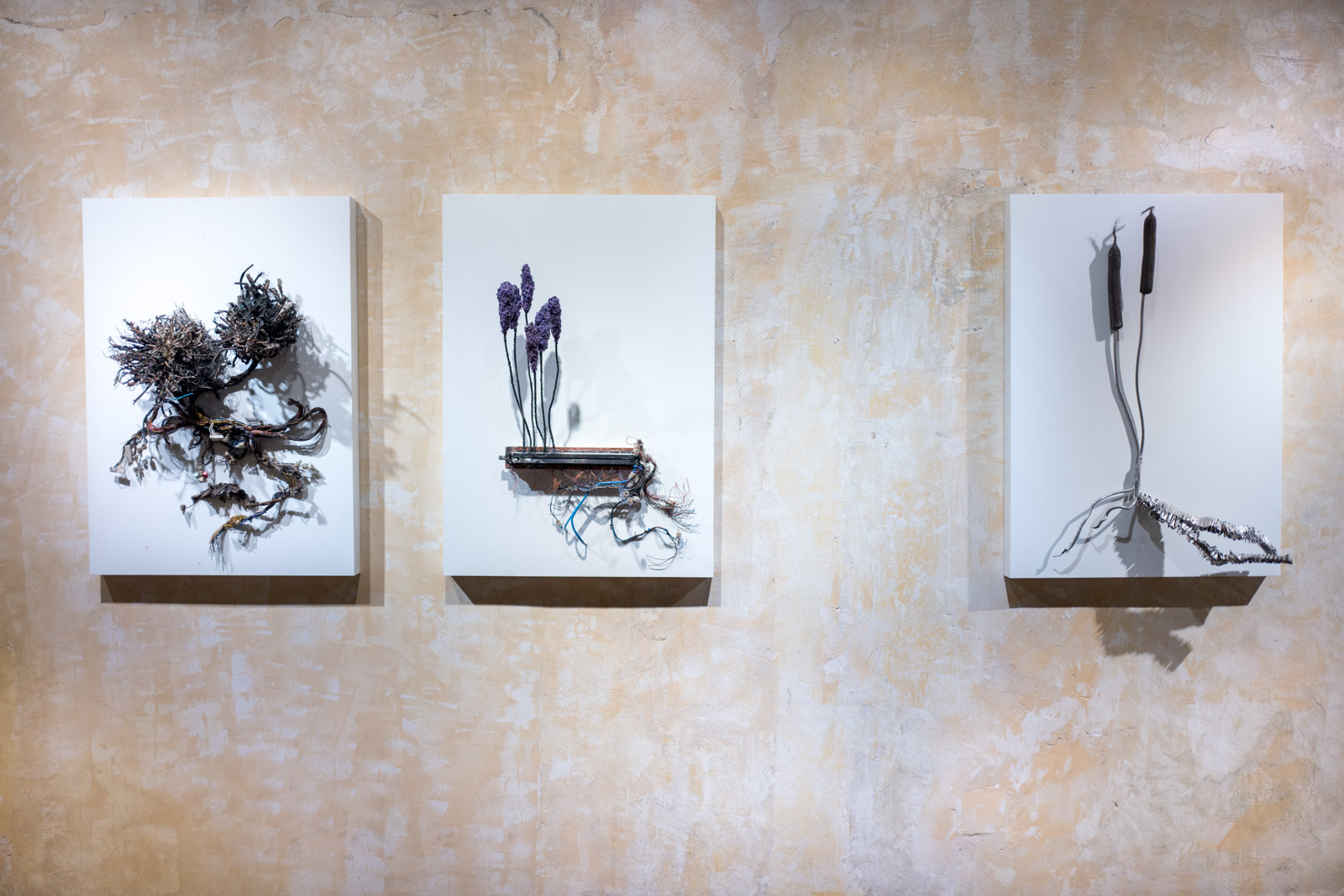 Kristof Kintera - Postnaturalia