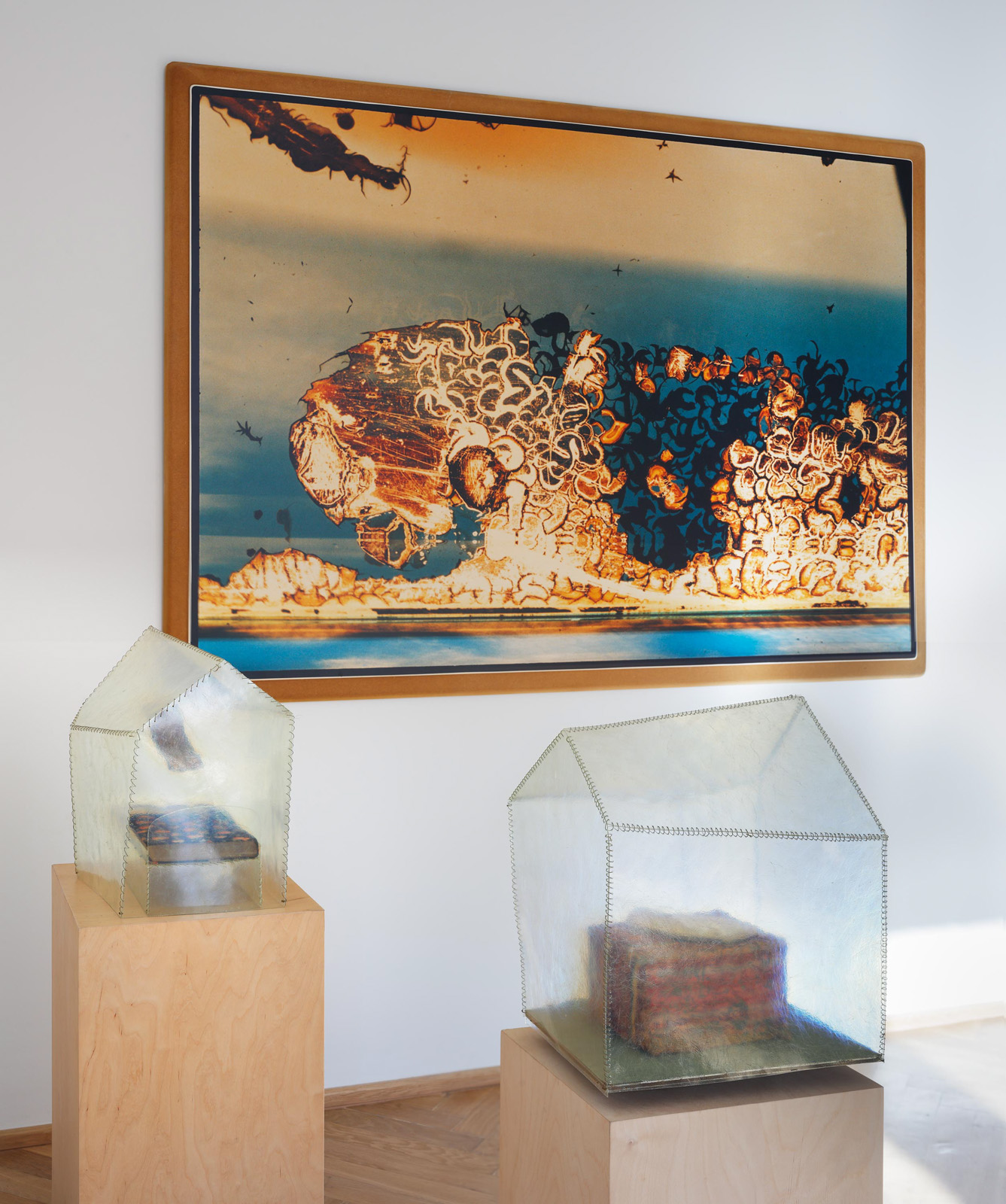 Ruprecht Von Kaufmann Frantisek Skala Dreamscapes 16