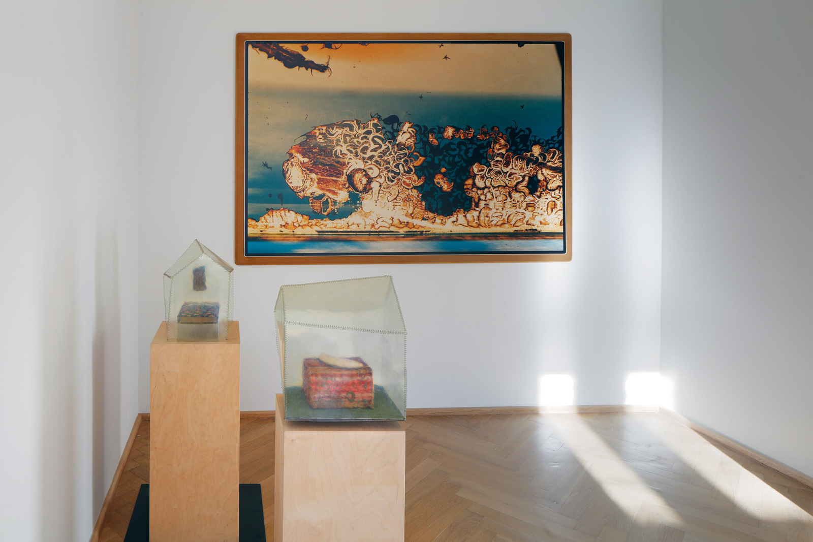 Ruprecht Von Kaufmann Frantisek Skala Dreamscapes 18