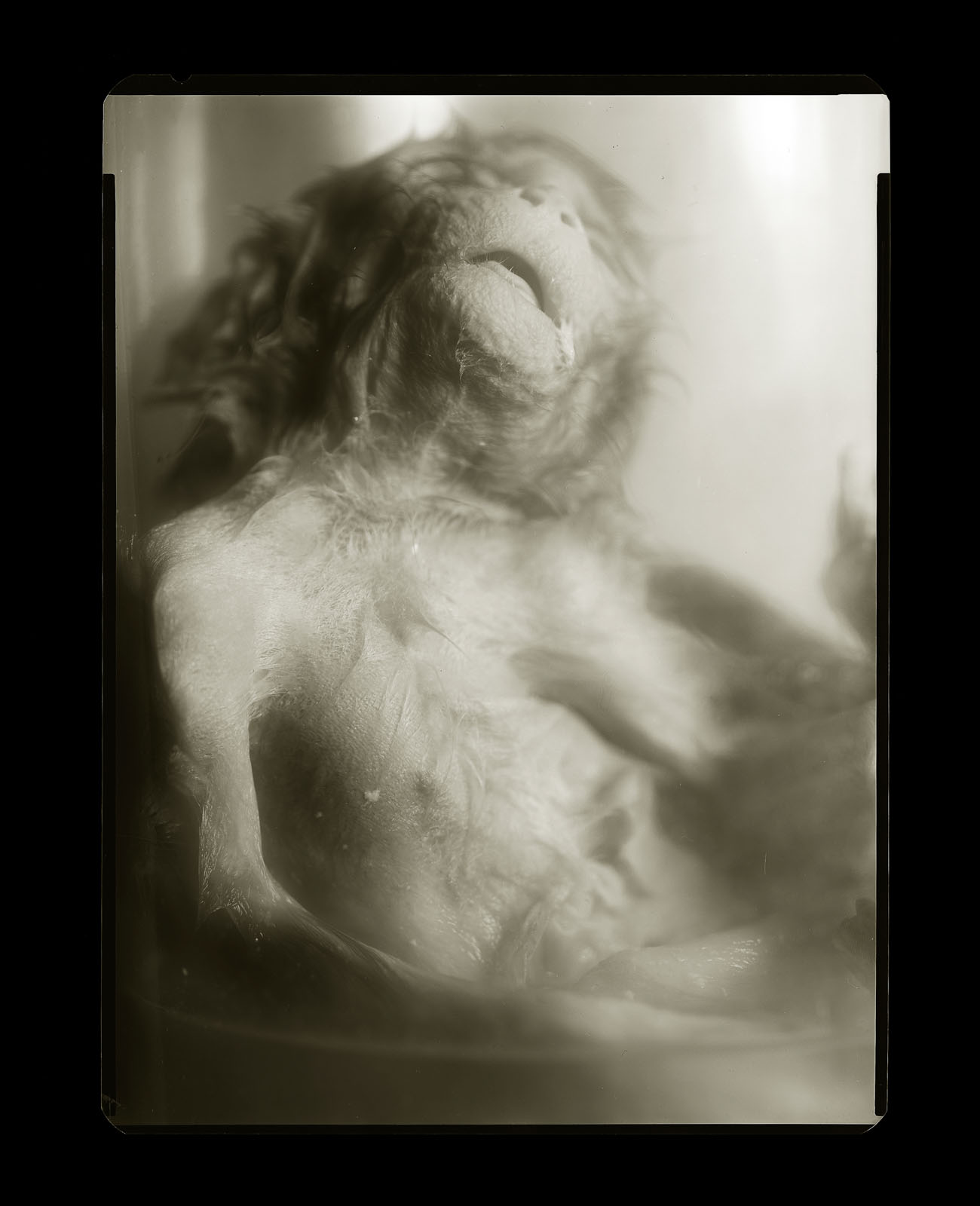 Zdenek  Sokol Sejmuti z krize