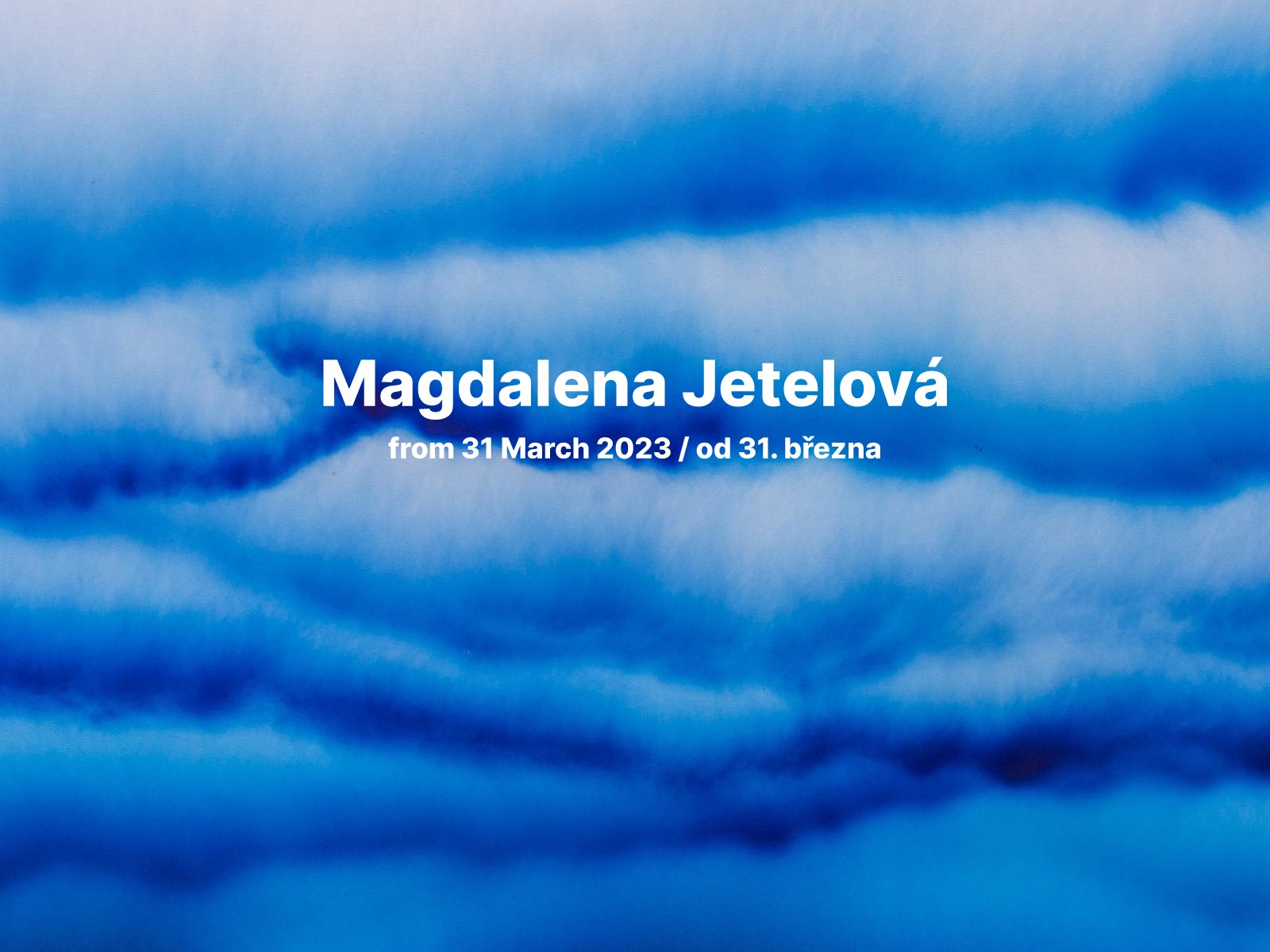 Magdalena Jetelova / THE LIE OF THE LAND
